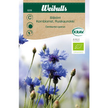 Kornblomst økologisk